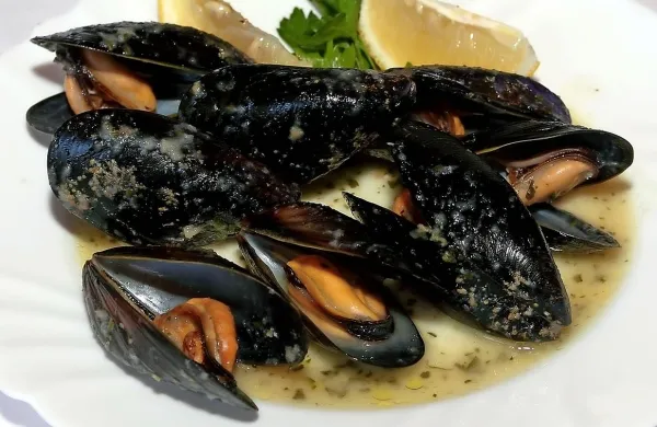 Ribe in &scaron;koljke iz slovenskega morja varne za uživanje