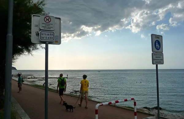 Fotografija je simbolična.