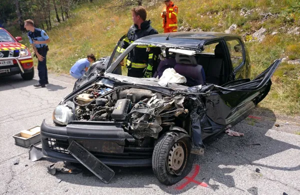 Koprčana trčila v Brkinih