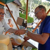 Na Vrsnem delajo vrhunski kravji sir. Milko Kutin (levo) zanj dobiva 
zlate medalje. V  vasi je  okoli 40 krav, ki se pasejo na planini 
Kuhinja in sto ovac. 