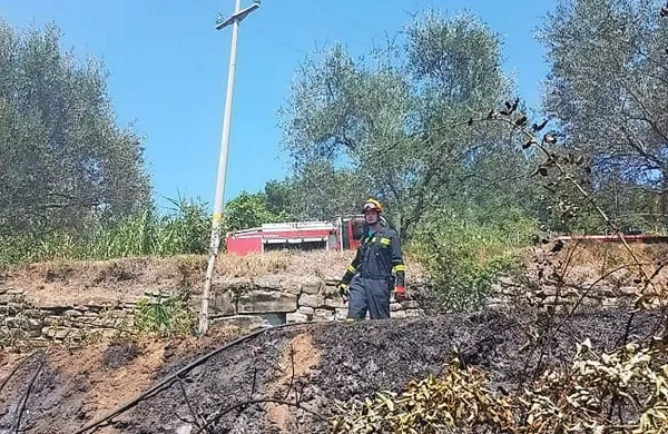Nedeljski požar v Cetorah