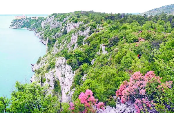 Panični napad med plezanjem