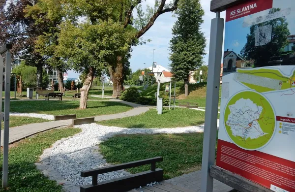 Okamenela voda