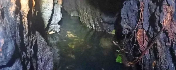 Rov s tekočo vodo pod Komarji.

