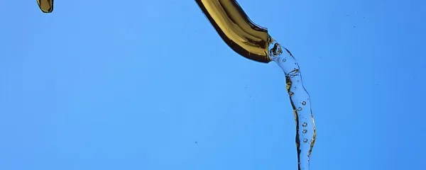 Na Krasu pijejo tudi so&scaron;ko vodo
