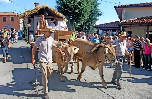Do nedelje bodo številni kraški vinarji, pršutarji in gostinci 
obiskovalcem ponujali svoje dobrote, na sklepni prireditvi pa 
bodo podelili priznanja za najboljše terane.