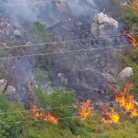Gasilcem po nekaj urah uspelo omejiti požar