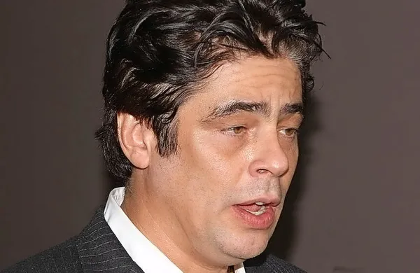 Benicio Del Toro