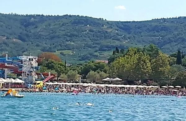 Ga je ob&scaron;la slabost?
