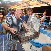 Železni repertoar morskih dobrot, glasbe in zabave