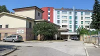 V bližini sežanskega doma upokojencev, kjer je od nedavnega 
živel, je tragično umrl 83-letni Kraševec. 