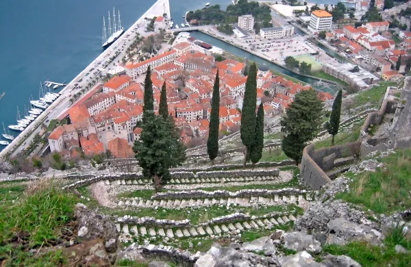 Kotor