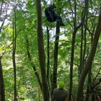 Padalca sta se v zraku zapletla in pristala v kro&scaron;njah dreves