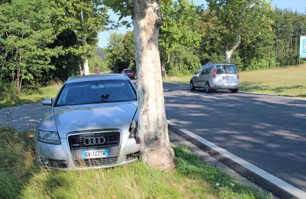 Avto je mesec dni po nesreči še objemal drevo.  