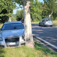 Avto je mesec dni po nesreči še objemal drevo.
