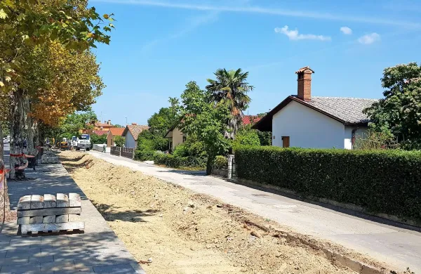 Več parkiri&scaron;č, manj dreves