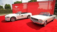Jubilejni mustang je kabriolet GT modelnega leta 2019 v barvi 
wimbledon white, ki ga poganja osemvaljnik s 460 konjskimi 
močmi.