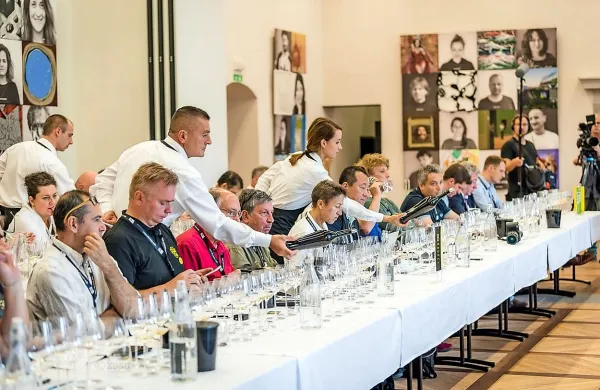 Novinarji in vinski kritiki iz vsega sveta v Brdih na poku&scaron;ini rebule