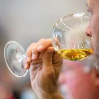 Novinarji in vinski kritiki iz vsega sveta v Brdih na poku&scaron;ini rebule