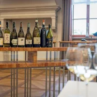 Novinarji in vinski kritiki iz vsega sveta v Brdih na poku&scaron;ini rebule