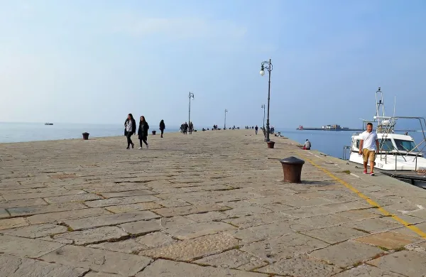 Glodalci hrano iščejo tudi na pomolu Audace.