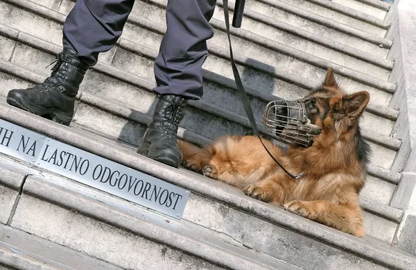 Fotografija je simbolična.