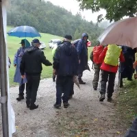 Ne poklon pesmi, pač pa uporu