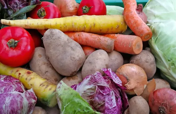 Pridelovalci zelenjave letos z manj&scaron;o letino večine vrtnin