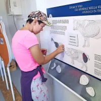 Na ladji in &scaron;e s sladoledom v roki