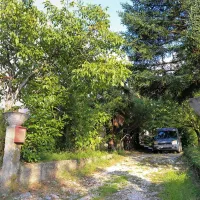 V Črničah se je v torek dopoldne zgodila družinska tragedija.
