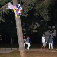 Svetlobna gverila zasijala v Izoli
