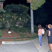 Svetlobna gverila zasijala v Izoli