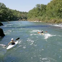 Regata je znova združila