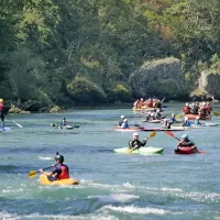 Regata je znova združila