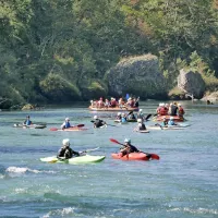 Regata je znova združila