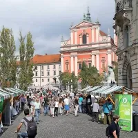 Prireditev  že tradicionalno poteka v tednu, ko obeležujemo dan 
vrnitve Primorske k matični domovini.