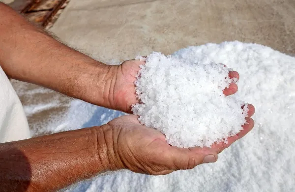  V Sečoveljskih solinah so pridelali okoli 1700 ton soli in okoli 70 
ton solnega cveta, kar je daleč od proizvodnega načrta.