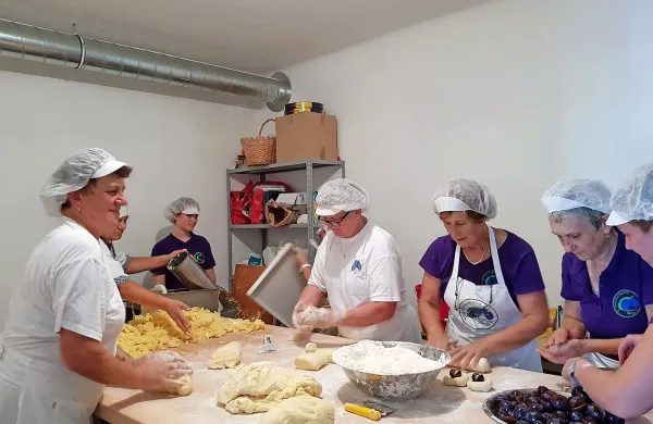Če so slive še zelene, cmoki grenijo, so poudarile slivarske gospodinje.
