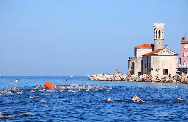 Biserov plavalni maraton