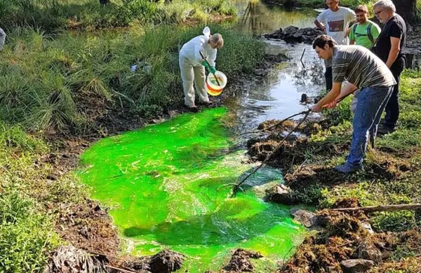 Fluorescein bo pokazal, kam vse odteka voda iz Doberdobskega 
jezera.