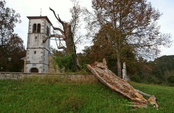 Lipe ni več