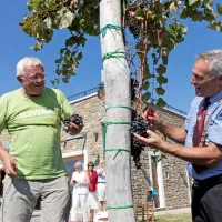 Turistični novinarji na trgatvi pri Marinku Rodici