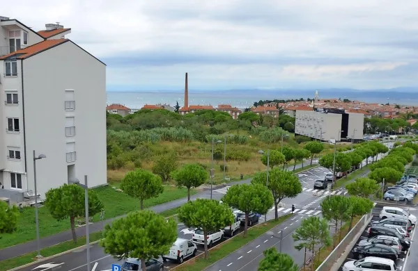  Predvidoma konec leta naj bi v Livadah začeli graditi center 
odličnosti za raziskave in inovacije na področju obnovljivih 
materialov in zdravega bivanjskega okolja.
