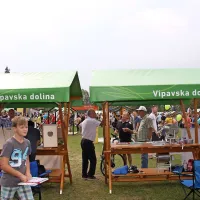 InCastra - dan ajdovske industrije in podjetni&scaron;tva