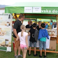InCastra - dan ajdovske industrije in podjetni&scaron;tva