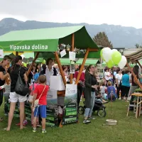 InCastra - dan ajdovske industrije in podjetni&scaron;tva