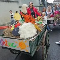 Okra&scaron;ene borele so pregnale tudi dež