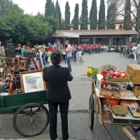 Okra&scaron;ene borele so pregnale tudi dež