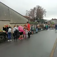 Okra&scaron;ene borele so pregnale tudi dež