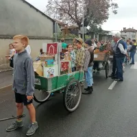 Okra&scaron;ene borele so pregnale tudi dež